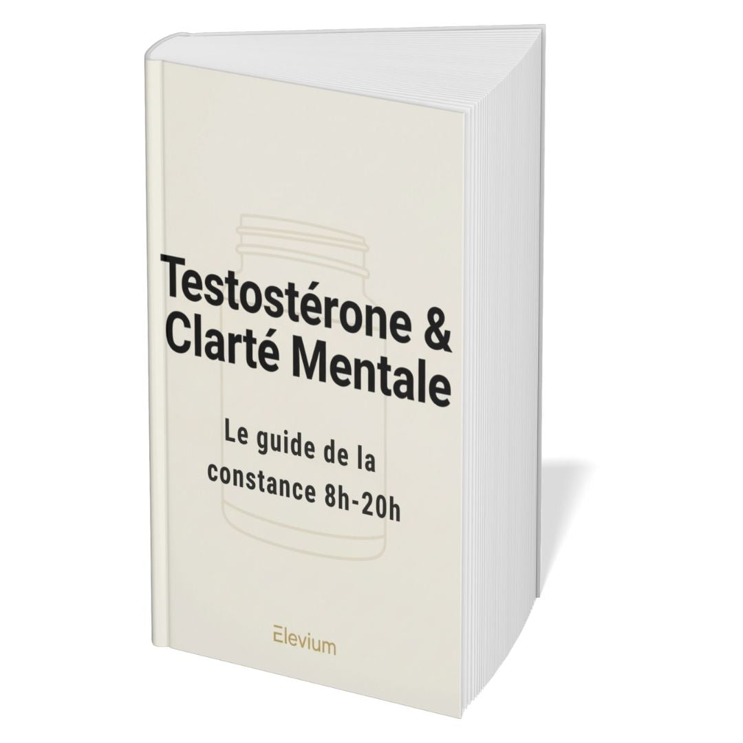 E-book «Testostérone»