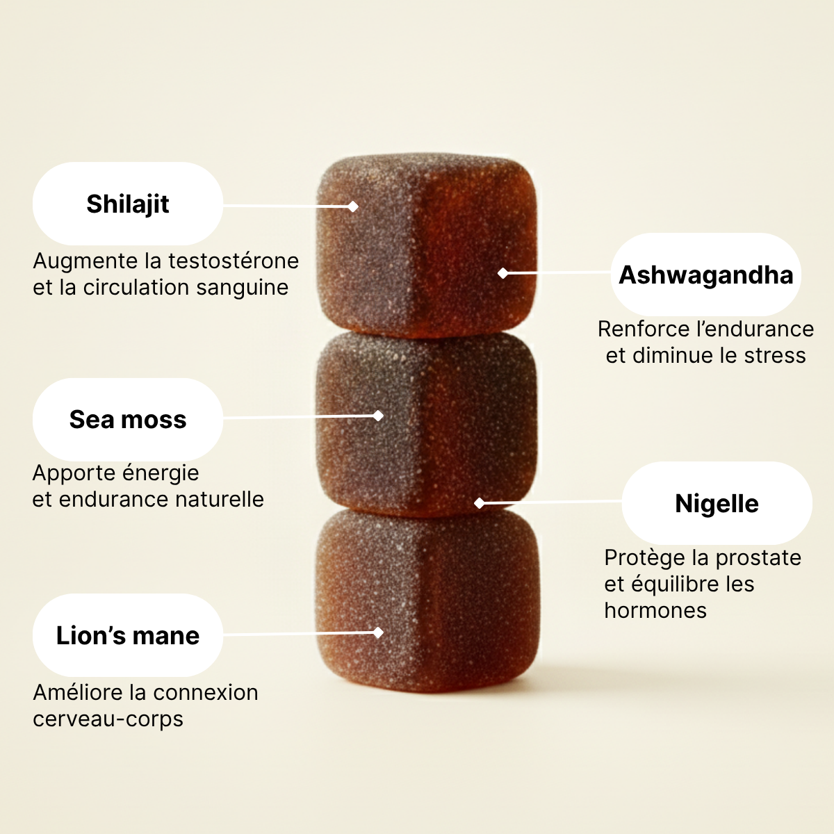 Retrouvez votre puissance naturelle